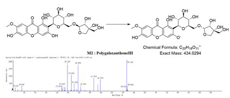 Fragmentation Pathway And Negative Mass Model Of Typical Compound