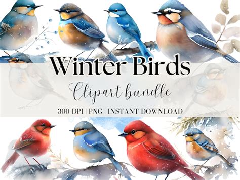 Winter Birds Clipart Bundle Watercolor Bird Clipart Christmas