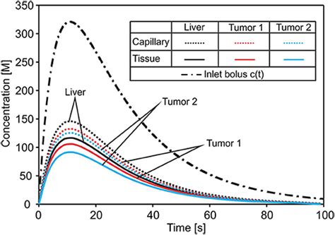 Frontiers Smeared Multiscale Finite Element Models For Mass Transport