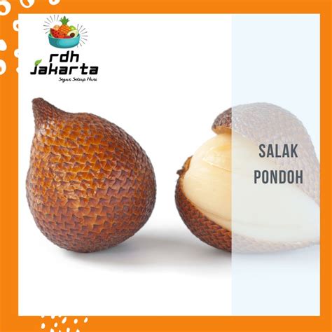 Jual Buah Salak Pondoh Buah Salah Segar Fresh Premium Gram Manis