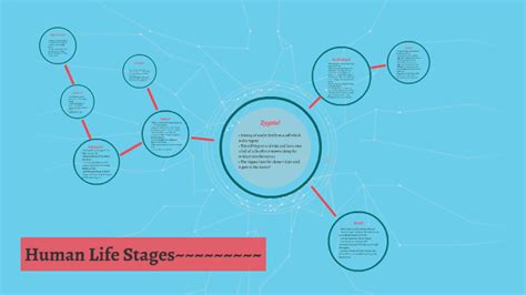 Human Life Stages - Flow Chart by Andrea Cheon on Prezi