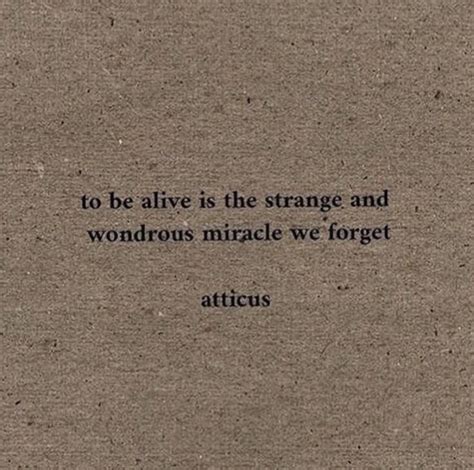 Pin By Anna Urbanik On Sticky Notes Pretty Words Quotable Quotes Quotes