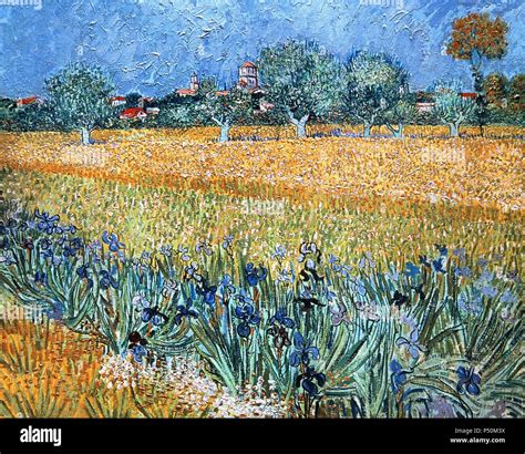 Vincent Van Gogh 1853 1890 Dutch Painter Field With Flowers Near