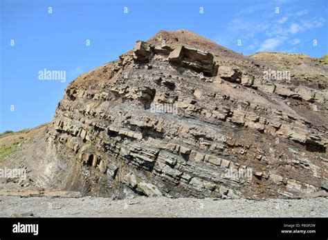 Joggins Fossil Cliffs On The Bay Of Fundy In Nova Scotia Canadas 15th