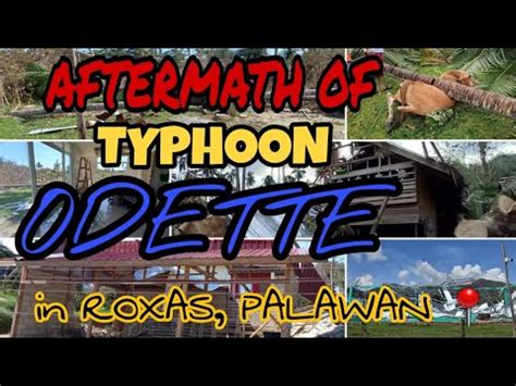 Aftermath Of Typhoon Odette In Roxas Palawan King Cocoy Tv Youtube