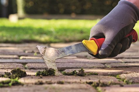 5 tipů jak odstranit plevel z dlažby HOME