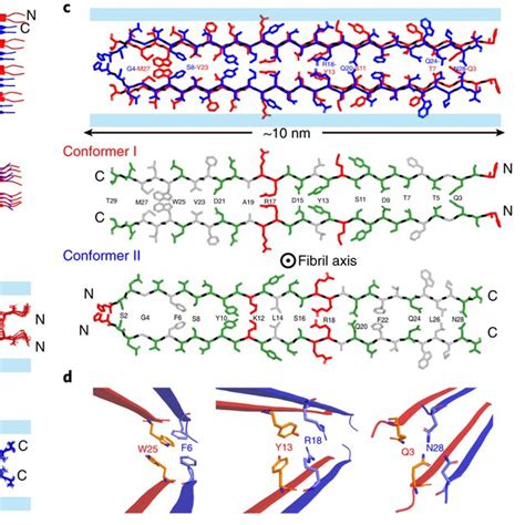 Atomic Structure Of The Low PH Glucagon Fibril A Top And Side View Of