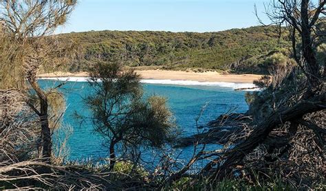 Myrtle Beach Walking Track Murramarang National Park Photo Michael Van Ewijk Batemans Bay