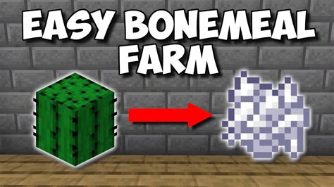 1 17 EASIEST Way To Get BONEMEAL In Minecraft Auto Bonemeal