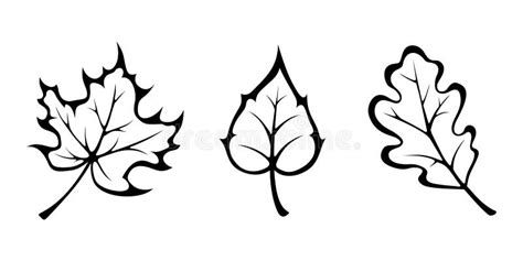 Fall Leaves Black White Stock Illustrations – 7,699 Fall Leaves Black ...