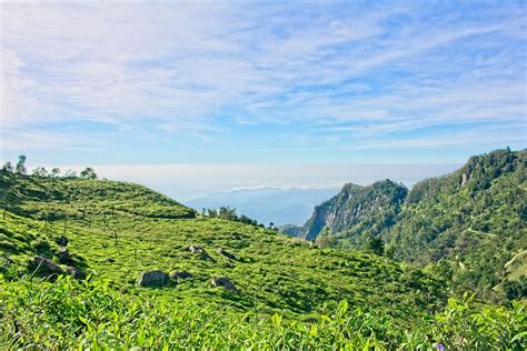 Devil S Staircase Sri Lanka Tea Kostenloses Foto Auf Pixabay Pixabay