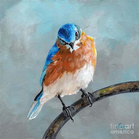 Eastern Bluebird Painting By Annie Troe Fine Art America