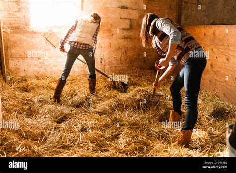 Zwei Junge Frauen Im Stall Stroh Bett Machen Stockfotografie Alamy