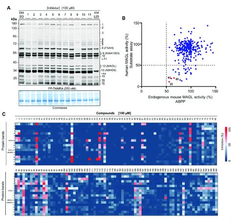 Activity And Selectivity Profile Of The Focused Compound Library Using