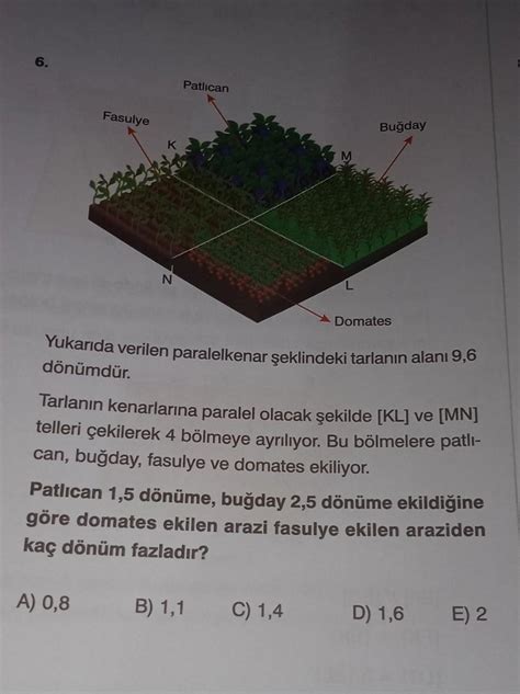 Çözümlü olarak yapıp atabilir misiniz acil boş cevaplar vermeyin