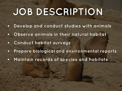 Wildlife Biologist Job Description Salary Skills More