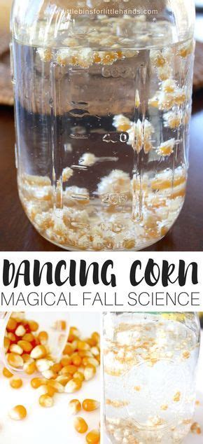 Magical dancing corn experiment – Artofit