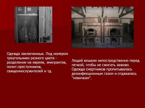 Немецкий оккупационный режим - презентация онлайн