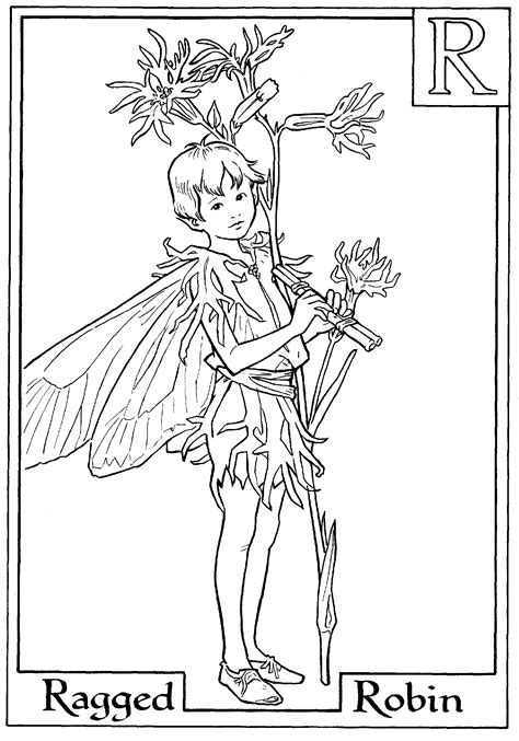 Fairy Printable Colouring Page R Is For Ragged Robin Fairy