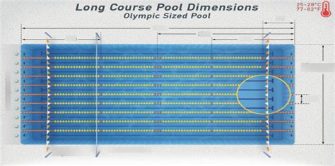 Olympic Sized Pool Diagram Quizlet