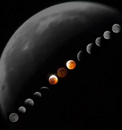 Super blood wolf moon total lunar eclipse | Behance :: Behance