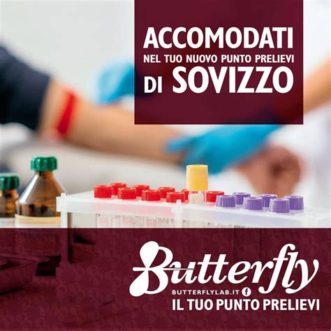 Analisi Ed Esami Del Sangue A Sovizzo Butterfly Lab