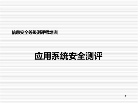 公安部信息安全等级保护——应用安全测评培训资料word文档在线阅读与下载无忧文档