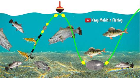 Tutorial Cara Membuat Rangkaian Pancing Nila Babon Umpan Udang Mata