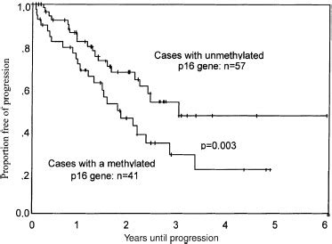 Progression Free Survival According To The Methylation Status Of The