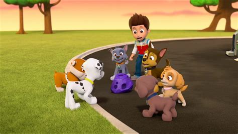 Skye Gallery Pups Save A Space Rock Paw Patrol Wiki Fandom