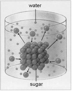 Dissolution Water Particles In Blue Sugar Particles In Green