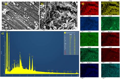 Sem Images A And B And Sem Edx Spectrum And Elemental Mapping Download Scientific Diagram