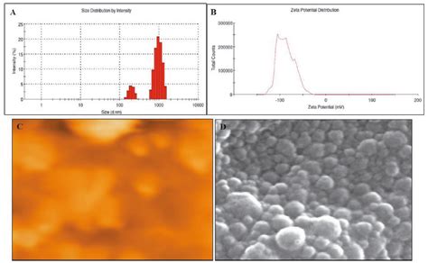 Scielo Brasil In Vitro Release Mechanism And Cytotoxic Behavior Of