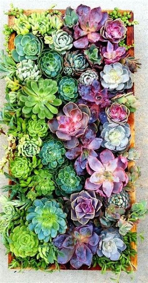 40 Ideas Of Planting A Windowsill Succulent Garden Whether You Get A Massive Garden A Tiny