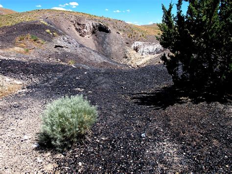 The Rockhounder Obsidian In The Black Rock Desert Millard County