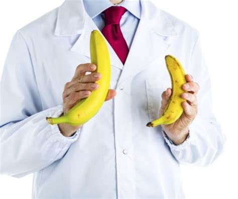 harte Fakten über Porno vs echtem Sex Eric Oliver Mächler