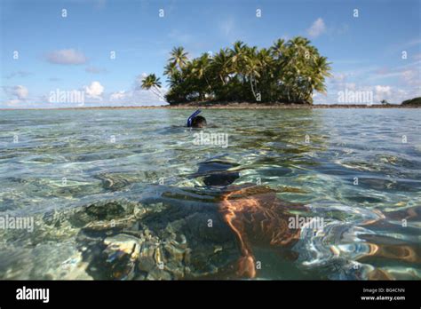 Cultivos De Perlas En Tuvalu La Joya Oculta Del Pac Fico