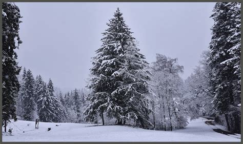 Flueweid Z Rcher Oberland Janos Zimmermann Flickr