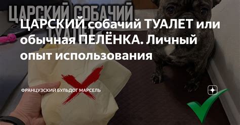 ЦАРСКИЙ собачий ТУАЛЕТ или обычная ПЕЛЁНКА. Личный опыт использования ...