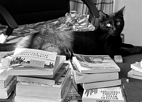 Coming Soon: Explore the Untold Stories of Military Spouse History!