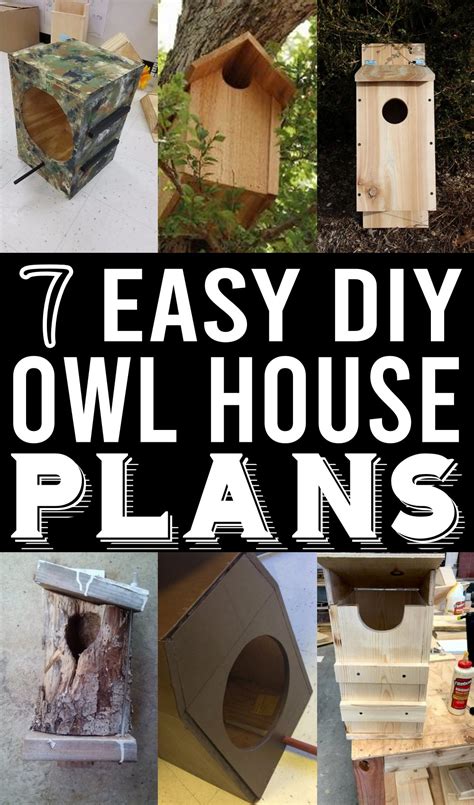 7 Budget Friendly Diy Owl House Plans The Newlywed