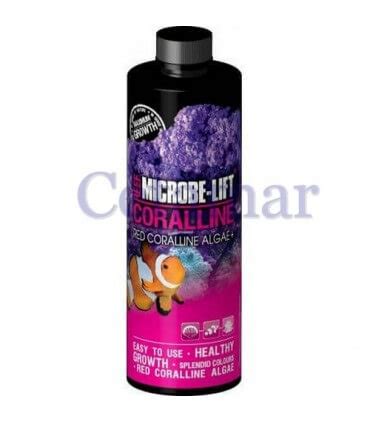 Coralline Algae Accelerator Microbe Lift Y Ml