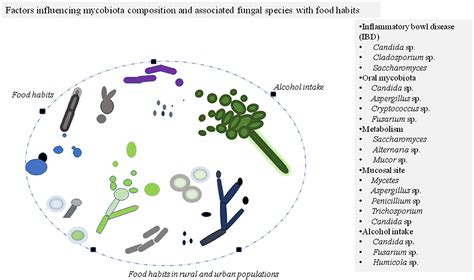 Frontiers Food Habit Associated Mycobiota Composition And Their