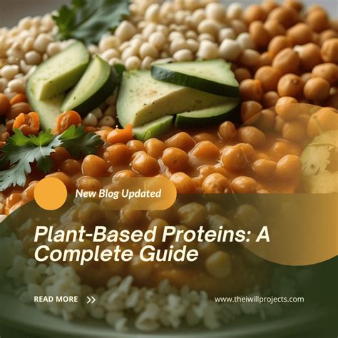 Plant Based Proteins A Complete Guide The I Will Projects