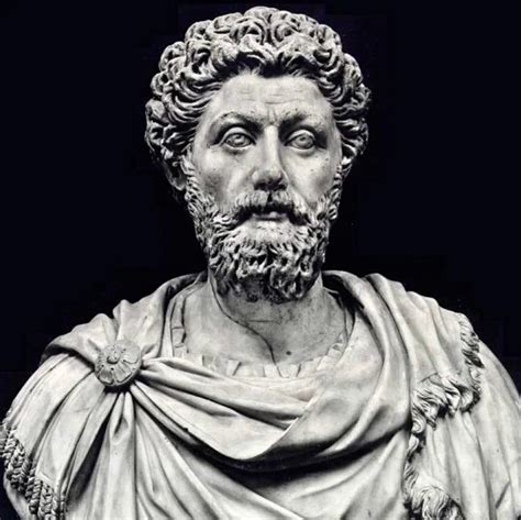 Las Mejores Citas Y Frases De Marco Aurelio Diario Estoico