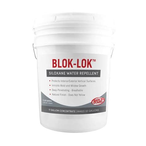 RAIN GUARD Blok Lok 5 Gal Concentrate Penetrating Water Repellent CR