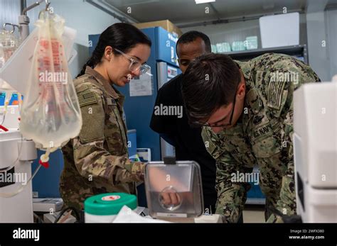 U S Navy Hospital Corpsman Second Class Abenicio Chavez A Member Of