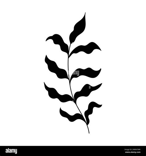 Plant Doodle Single Plant Silhouette Isolated On White Background