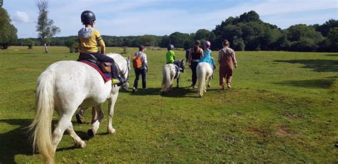 Brockenhurst Riding Stables New Forest