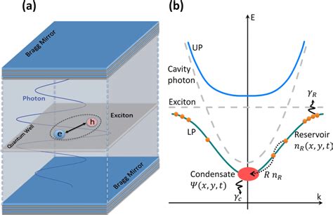 A Typical Exciton Polariton Microcavity B Upper Up And Lower